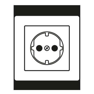 Jung Zentralplatte AS 1520 PL WW