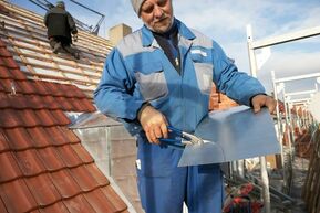 BESSEY Idealschere D216-260 BESSEY Idealschere D216-260