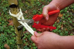 BESSEY Combischere gerade D47