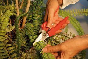 BESSEY Combischere gerade D47