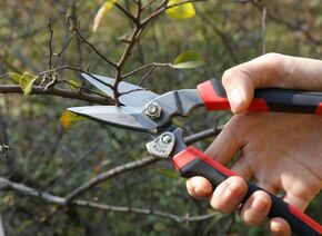 BESSEY Combischere gerade, stabil D52-2