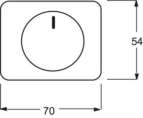 Busch-Jaeger Zentralscheibe platin für Drehdimmer 6540-20