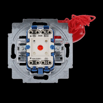 Busch-Jaeger Zugtaster 1-polig, Schließer 2020/01 US-101