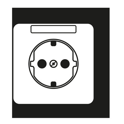 Jung Zentralplatte f.Steckdose Schriftf CD 1520 NAPL WW