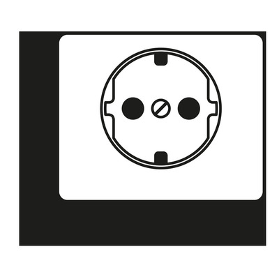 Jung Zentralplatte f. SCHUKO-Steckdose SL520GBPL