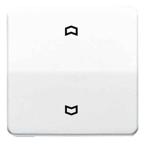 Jung Wippe Symbole lichtgrau für Taster CD 590 P LG