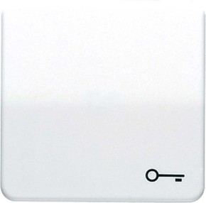 Jung Wippe Symbol TÜR alpinweiß für Taster CD 590 BFT WW