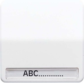 Jung Wippe Schriftfeld alpinweiß für Schalter/Taster CD 590 NABF WW Jung Wippe Schriftfeld alpinweiß für Schalter/Taster CD 590 NABF WW