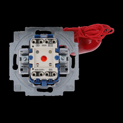 Busch-Jaeger Zugtaster 1-polig, Öffner 2020/10 US-101