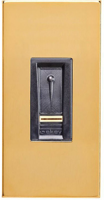 Ekey (AT) Dekorelement f. Fingersca. integra 2.1, gold 101 303 GO