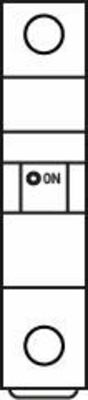 Doepke LS-Schalter 1p, C, 125 V/63ADC DLS 6hdc C63-1