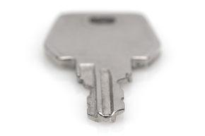 DIGITUS Schlüssel Netzwerk/Server Nr. 9473 DN-19 KEY-9473