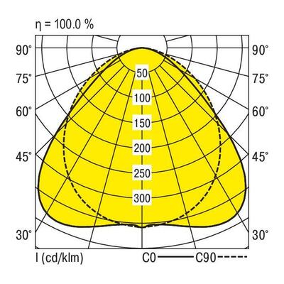Ridi-Leuchten LED-Geräteträger 5000K VLPGFP1501- #1561231