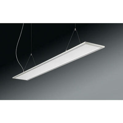 Brumberg Leuchten LED Pendelleuchte 3000/4000K, DALI 49260073DA