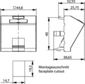 Telegärtner Modulaufnahme 45x45 abgewinkelt 100021429