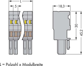 WAGO GmbH & Co. KG Federleiste 6pol. gr 769-106