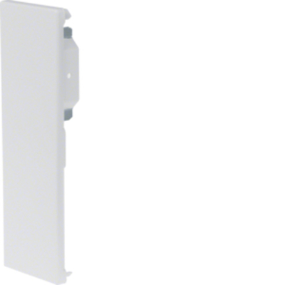 Tehalit Endplatte BRS 652106D rws