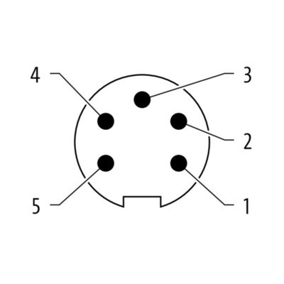 Murrelektronik 7/8 Rundsteckverbinder gerade 7000-78101-0000000