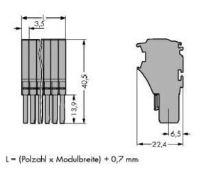 WAGO GmbH & Co. KG Federleiste 1-Leiter, grau 2020-103