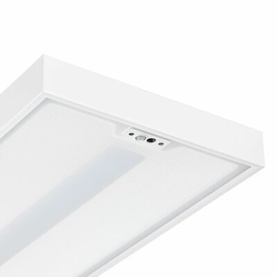 Philips Lighting LED-Leuchte weiß FS486F 125 #58514000
