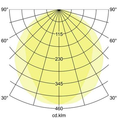 Brumberg Leuchten LED-Pendel-Ringleuchte CAS., D1,5m, H100mm 13534168CA