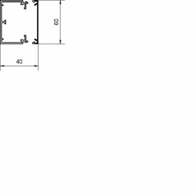Tehalit Leitungsführungskanal LFE 40x60mm vw LFE4006009016