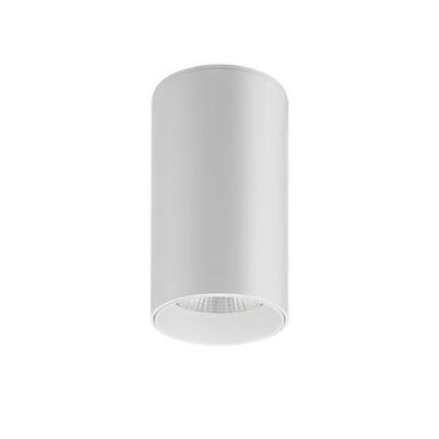 Brumberg Leuchten LED-Anbauleuchte 230V 4000K 88843174DA