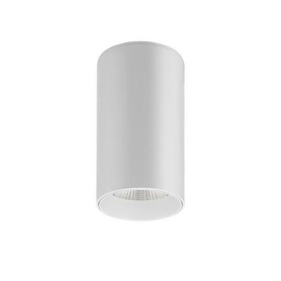 Brumberg Leuchten LED-Anbauleuchte 230V 4000K 88844174DA