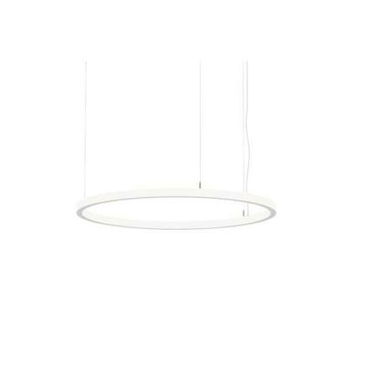 Brumberg Leuchten LED-Pendel-Ringleuchte 4000K, Matter 84110174MT