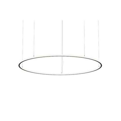 Brumberg Leuchten LED-Pendel-Ringleuchte 4000K, Matter 84114184MT