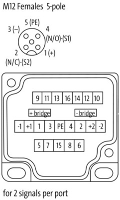 Murrelektronik Grundverteiler 27114