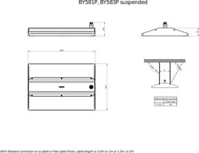 Philips Lighting LED-Hallenleuchte 6500K, DIA BY581P 250 #58923000