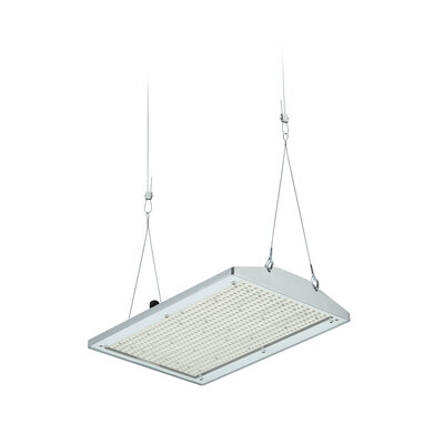 Philips Lighting LED-Hallenleuchte 4000K, DIA BY581P 350 #59421000