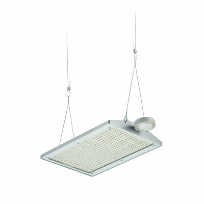 Philips Lighting LED-Hallenleuchte 4000K, SIA BY581X 350 #59395400