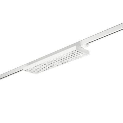 Brumberg Leuchten LED-Schienenstrahler 4000K, DALI 44028174DA