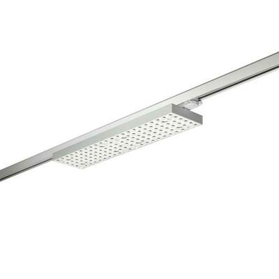 Brumberg Leuchten LED-Schienenstrahler 4000K, DALI 44032164DA