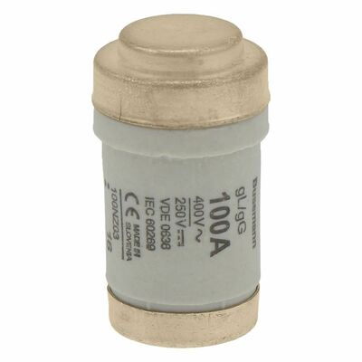 Eaton Sicherungseinsatz Nieders. 100A AC 400V 50kA FUSE-D03 1#100NZ03