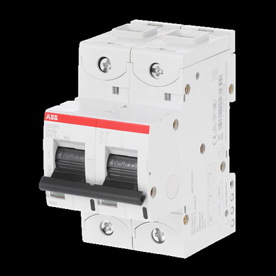 ABB Stotz S&J Strangsicherung 100A, 2-polig S802PV-SP100