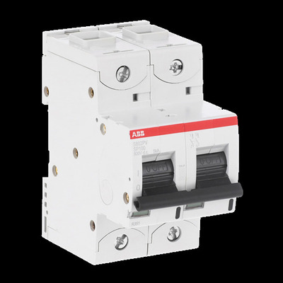 ABB Stotz S&J Strangsicherung 100A, 2-polig S802PV-SP100