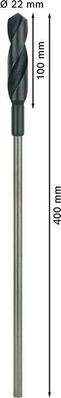 Bosch Power Tools PRO Wood HSS Installationsbohrer 2608597167