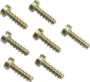 Spelsberg Schraube VE50 SC 22