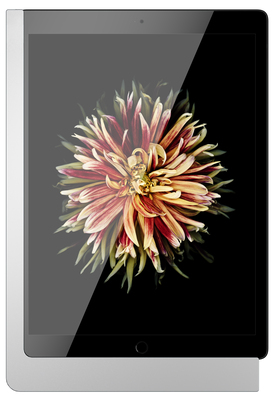 Viveroo Wandhalterung iPad Pro 12,9 (3-6) 510160