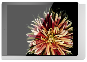 Viveroo iPad Wandhalterung Lack: SuperSilver 510160LAN