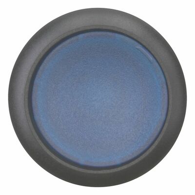 Eaton Leuchtdrucktaste flach,blau,blanko M22S-DRL-B