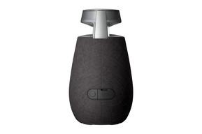 LG CE Electronics Bluetooth Lautsprecher XBOOM Go DXO2TBK.CEUSALK