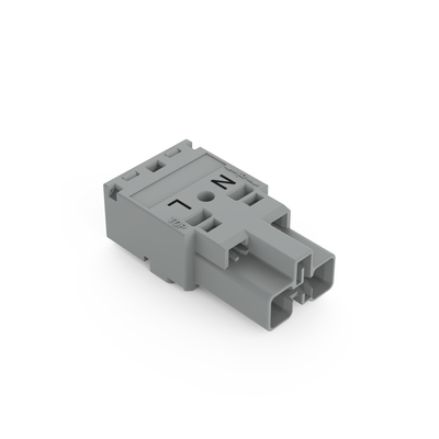 WAGO GmbH & Co. KG Stecker 2-polig Kod. B,grau 770-252/060-000