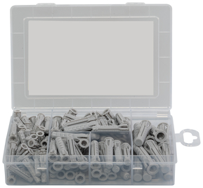 Fischer Deutschl. Meister-Box mit Dübel SX 041648