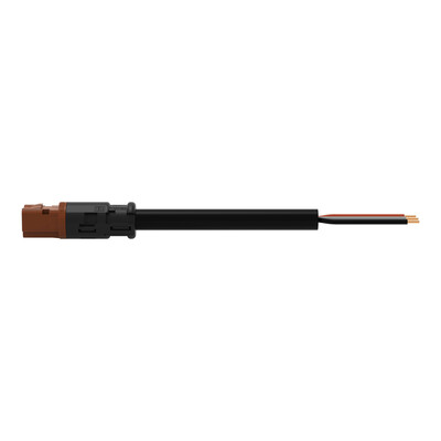 WAGO GmbH & Co. KG konfekt. Anschlussleitung Eca,Stecker 774-9973/206-405
