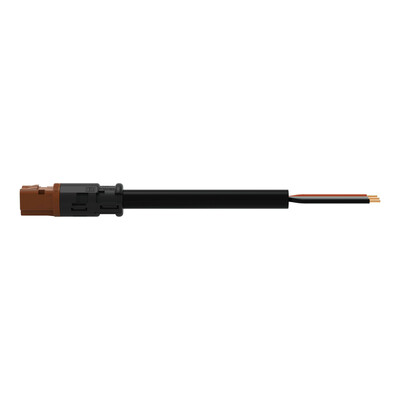 WAGO GmbH & Co. KG konfekt. Anschlussleitung Eca,Stecker 774-9973/216-105
